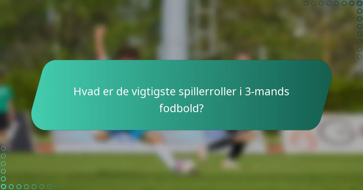 Hvad er de vigtigste spillerroller i 3-mands fodbold?